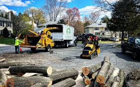 How Our Tree Care Process Works  in Choctaw Lake, OH